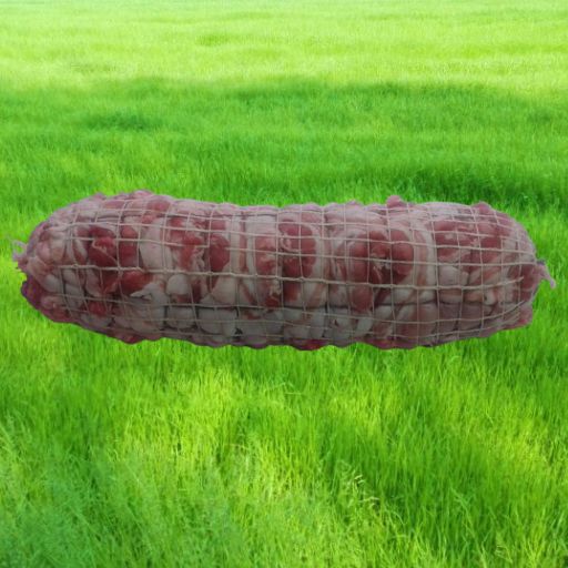 coniglio disossato ripieno